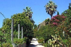 הגנים הבוטניים בטרסטנו (Trsteno Arboretum) | טיול יום מומלץ מדוברובניק - VIATOR